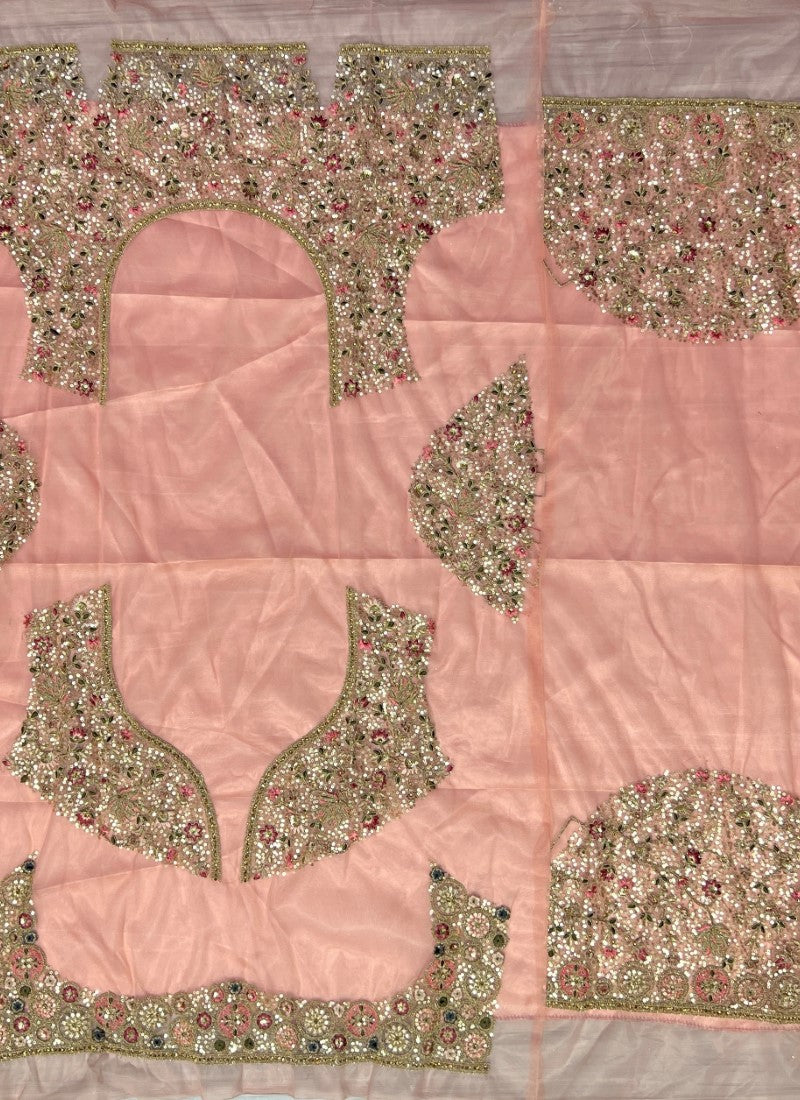 Pink Embroidered in Various kind of Work Partywear Lehenga choli